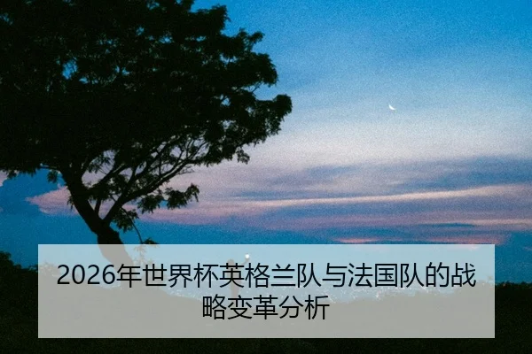 nian-shi-jie-bei-ying-ge-lan-dui-yu-fa-guo-dui-de-zhan-lve-bian-ge-fen-xi-2-957.jpg